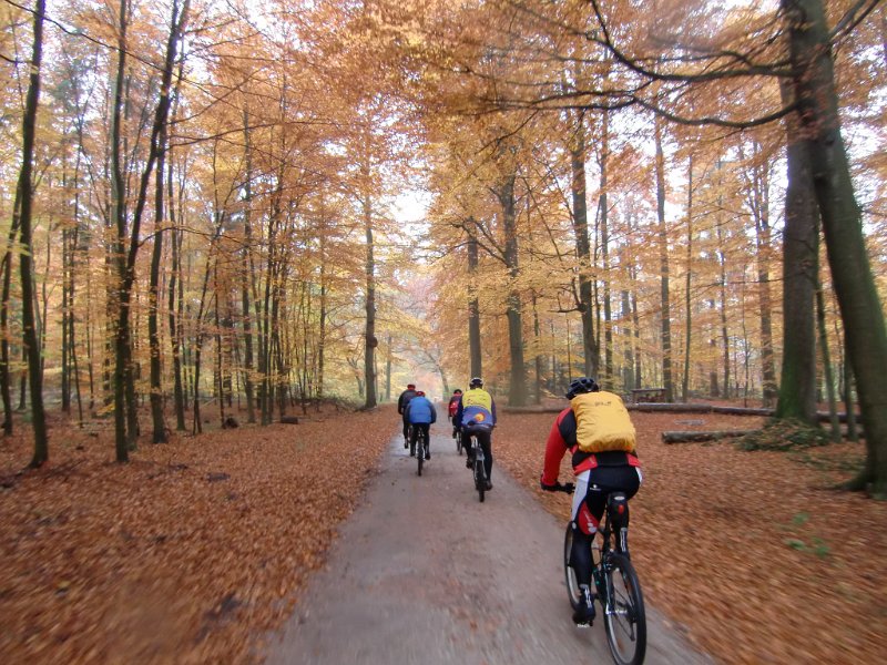 Wilseder Berg 1 2010 079